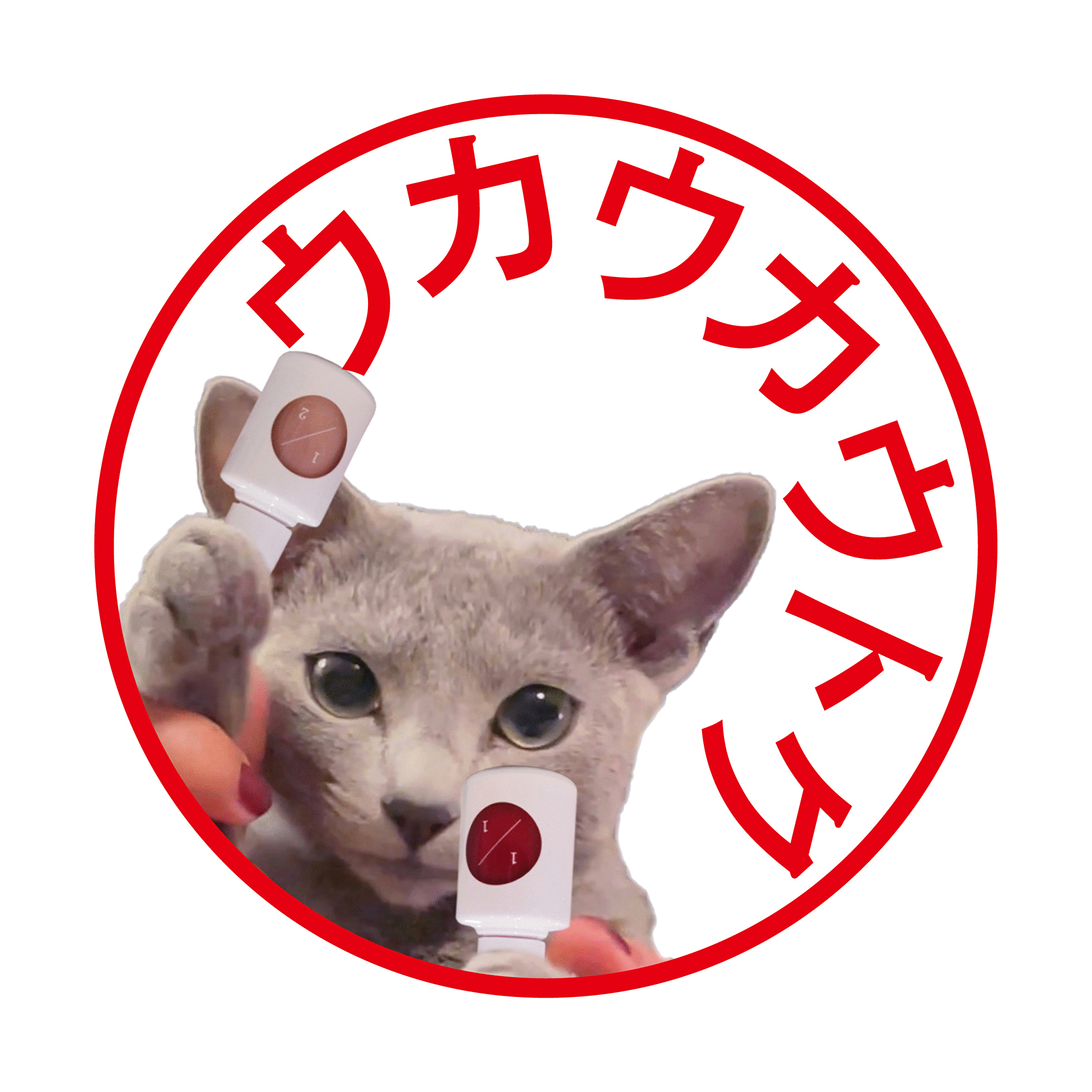 買えば買うほどお得、ウカウカウトク。終了まで3日！