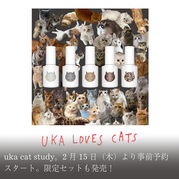 uka cat study。2月15日(木)より事前予約スタート。限定セットも発売！