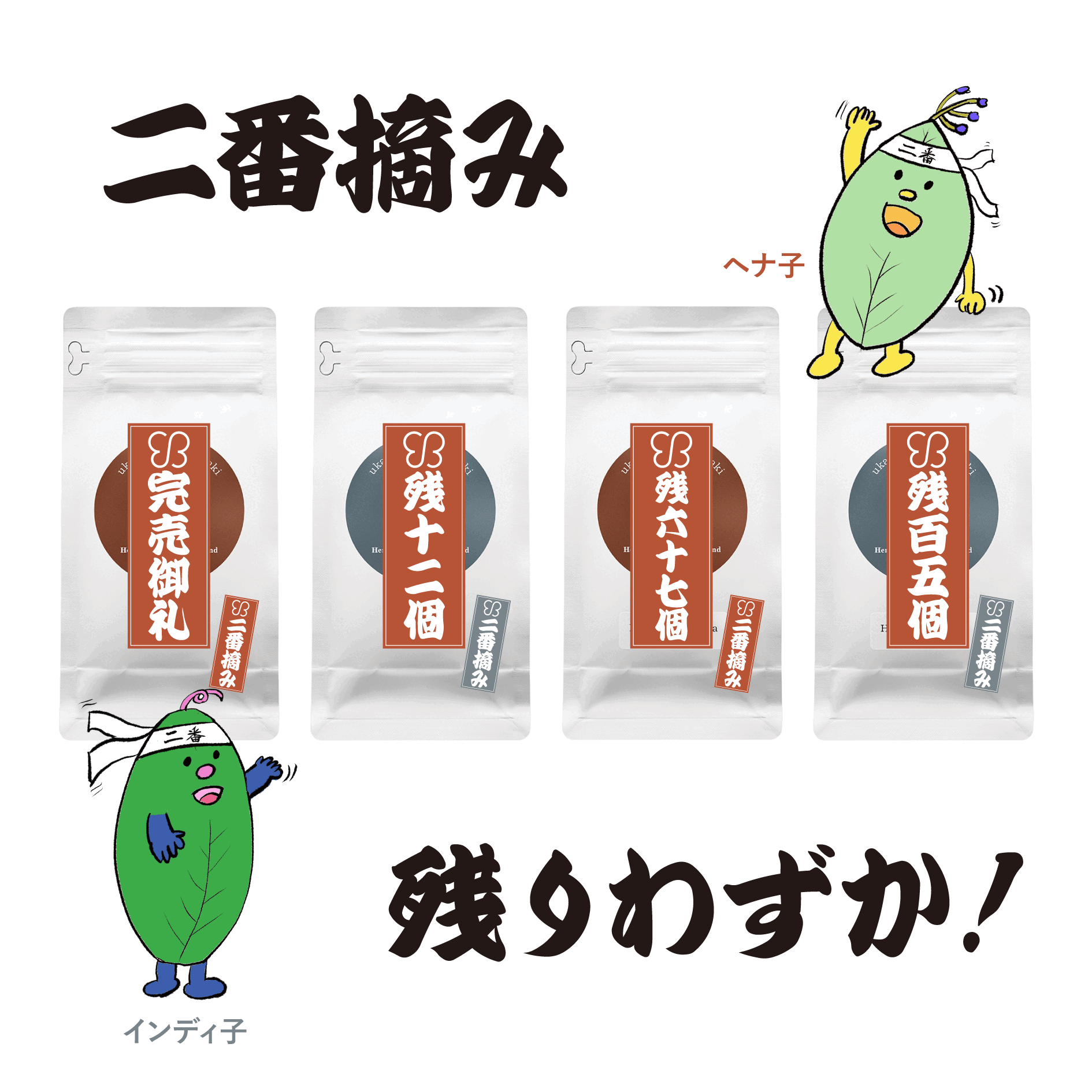 2023年秋冬に収穫されたフレッシュな二番摘みヘナが3月6日(水)より発売