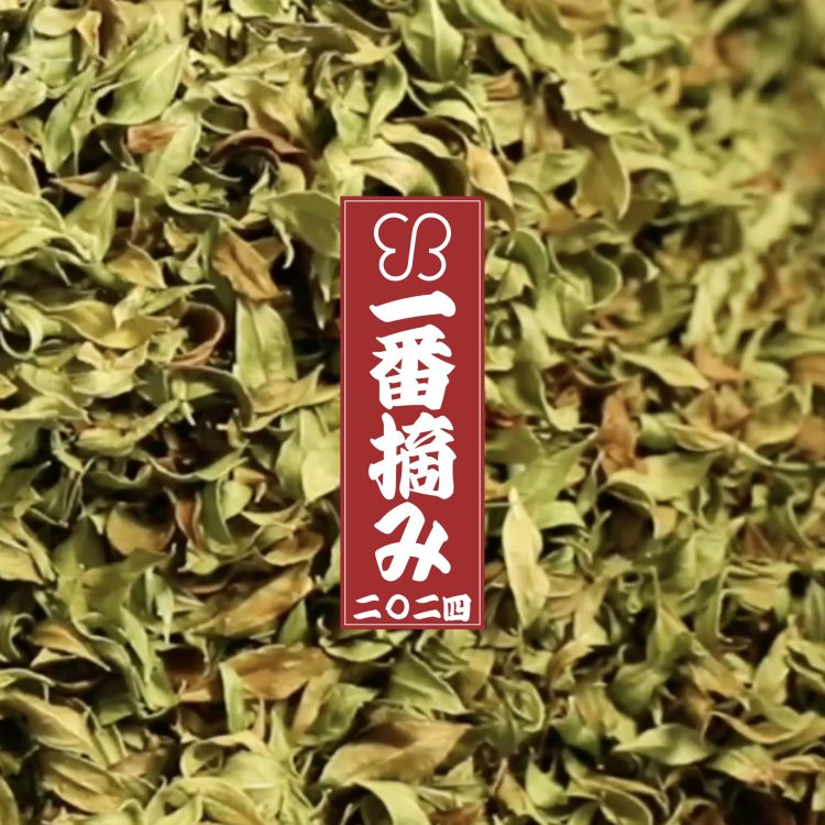 2024年に初めて収穫されたフレッシュな“一番摘み 石垣ヘナ”が9月23日(月)に数量限定で発売。同日記念インスタライブの配信も