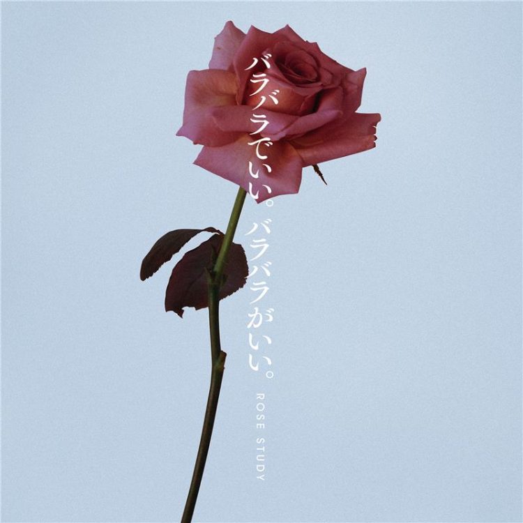 uka rose studyが11月1日(金)より発売！2024年ホリデーコフレのテーマはバラ